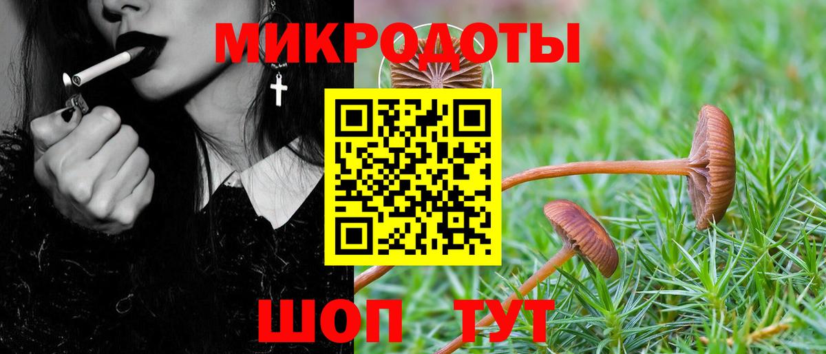 Псилоцибиновые грибы мухоморы  Вход с VPN  Бугульма 