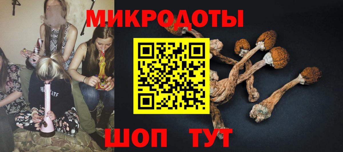 Галлюциногенные грибы ЛСД Бугульма
